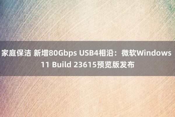 家庭保洁 新增80Gbps USB4相沿：微软Windows 11 Build 23615预览版发布